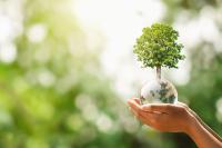 Une femme tient un globe terrestre sur lequel pousse un arbre.